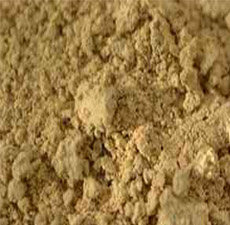 MILKTHISTLE HERB POWDER